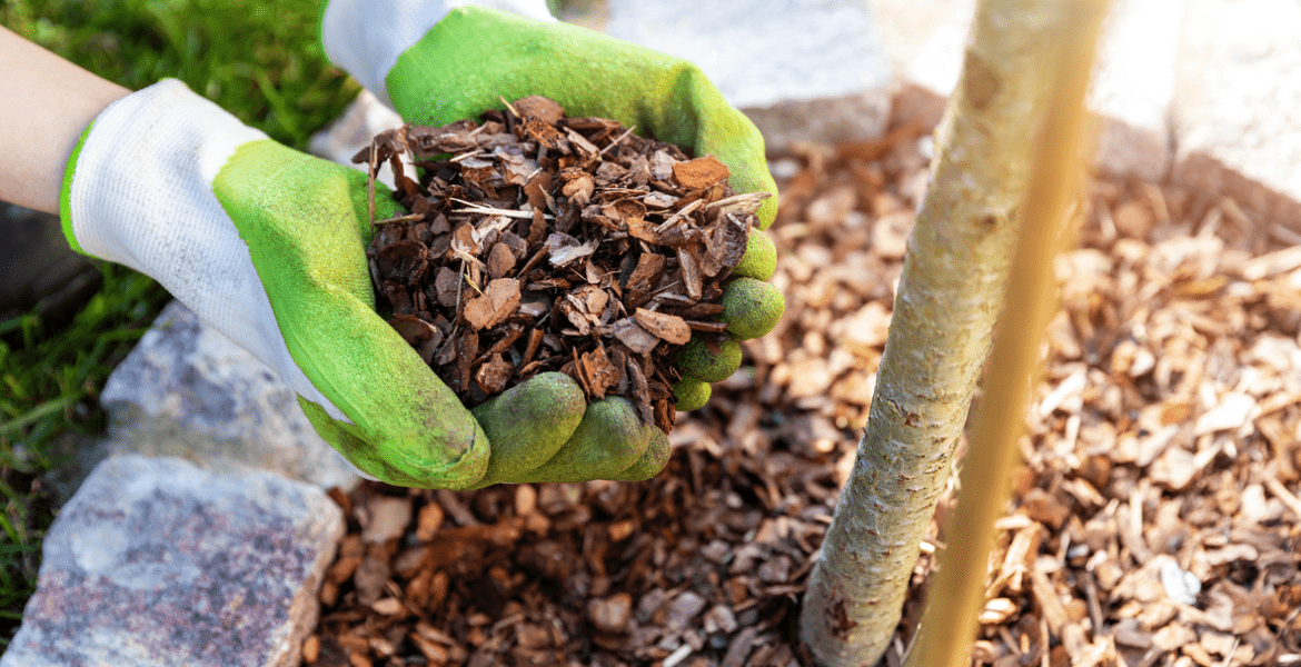 Coastal Crest Landscaping